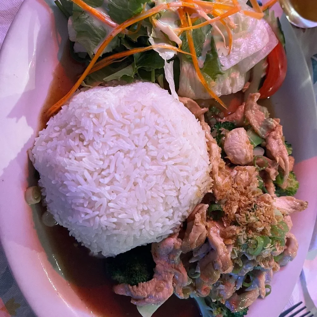 Garlic chicken with jasmine rice and salad from Mom's Kitchen in Fairbanks