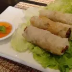 Fried spring rolls on lettuce with dipping sauce