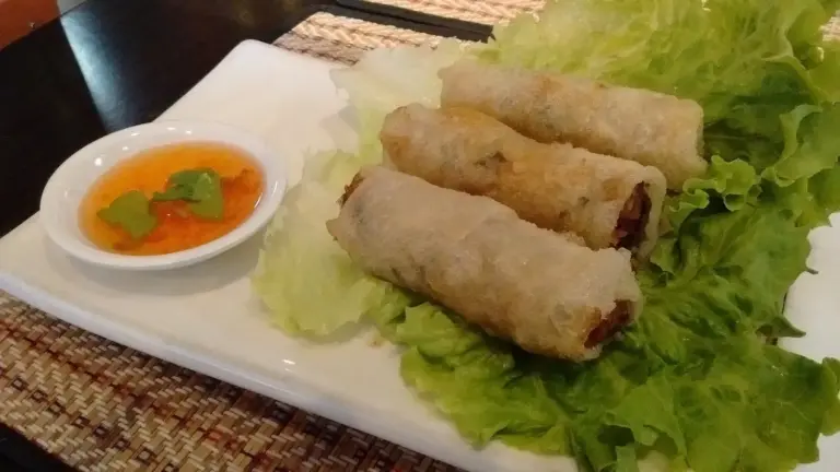 Fried spring rolls on lettuce with dipping sauce